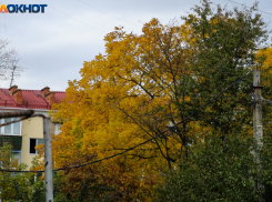 В Прикубанском округе Краснодара обесточат несколько улиц 