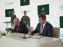 Крупные компании запускают новые проекты на Черноморском побережье