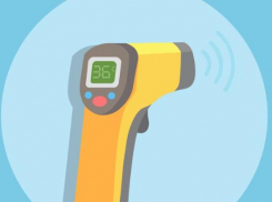 Законно или противозаконно проведение термометрии в школах, отвечает Роспотребнадзор Кубани