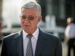 Владимир Евланов владеет 19,5 квадратными метрами земли