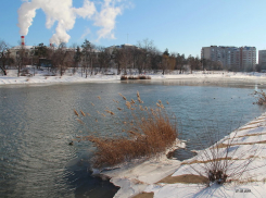 В Краснодаре на берегу озера нашли труп мужчины