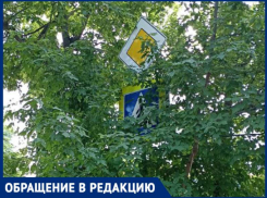 В Краснодаре пешеходы рискуют попасть под машину из-за «спрятавшегося» за деревьями знака