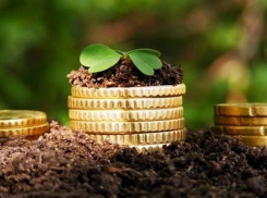 Фонд микрофинансирования на Кубани занял бизнесменам более 500 млн рублей