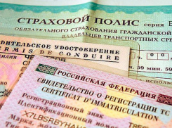 В Белореченском районе продали более 1000 поддельных полисов ОСАГО