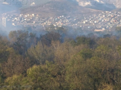 В Новороссийске горели «легкие города»