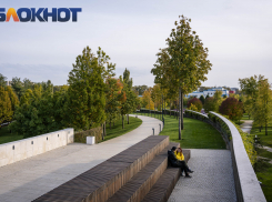 Концерт духового оркестра и детские мастер-классы: куда сходить в Краснодаре 28 и 29 октября 