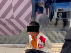 В полиции Краснодара не подтвердили приставания гастарбайтера к 11-летней девочке