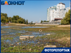 Масляные пятна, покрышки и ракушки: в Краснодаре показали сильно обмелевший Затон