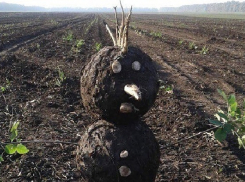Кубанские  «снеговики» покоряют соцсети