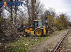 Бюджет Краснодара получит 31 млн рублей за разрешение на вырубку деревьев у депо