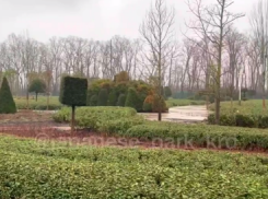 В Краснодаре показали преображение седьмой очереди парка Галицкого: видео