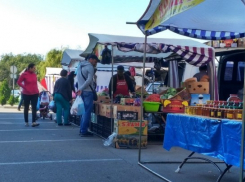  Ярмарки выходного дня в Краснодаре переехали на новое место 