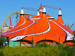 В Краснодаре перенесли дату циркового представления из-за трагедии в «Крокус Сити Холле»