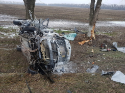 На Кубани Toyota Camry сгорела, врезавшись в дерево: погибли два человека