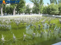 Фонтаны в Краснодаре запустят 26 апреля