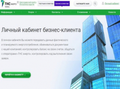  Бизнес-клиенты ПАО «ТНС энерго Кубань» высоко оценили преимущества «Личного кабинета» 