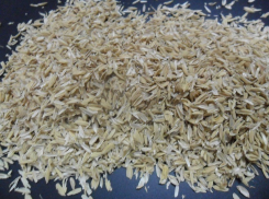 Кубанский аспирант научился строить из рисовой шелухи эко-дома