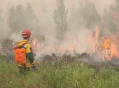 Экстренное предупреждение: на Кубани при жаре в +39 сохраняется высокая пожароопасность
