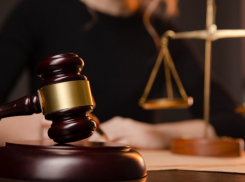 «Союзмультфильм» судится с краснодарскими бизнесменами