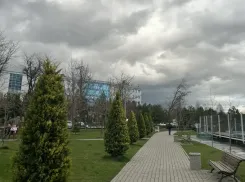 До +3 по ощущениям будет в Краснодаре 9 апреля  
