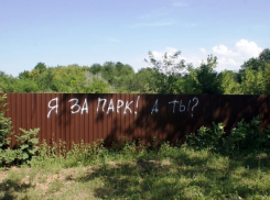  Жители Краснодара отстояли зеленую зону у своих домов 