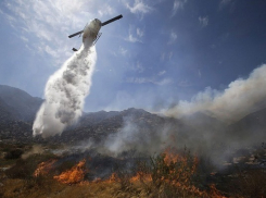  На Кубани прогнозируют масштабные лесные пожары