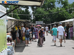 Цифры, от которых больно: как взметнулись цены на продукты за 8 лет в Краснодаре