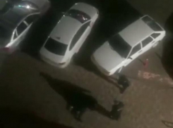 Во дворе жилой многоэтажки в Краснодаре охранники избили человека