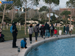 Температурные «американские горки» с +17 до +4 надвигаются на Краснодар