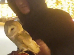 В парке Галицкого горе-бизнесмены держали на морозе сов и голубей