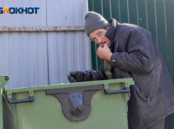 Контрольно-счётная палата обвинила мэрию в замусоривании Краснодара