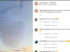Танец скворцов или мурмурация: необычное явление заснял фотограф из Краснодара 