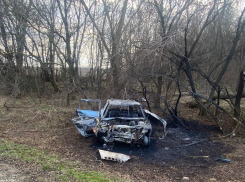 В Краснодарском крае водитель сгорел в ДТП