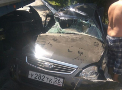  Водитель «легковушки» выжил в страшной аварии с грузовиком 