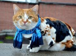 На Кубани похолодает, зато Радоница обойдется без традиционного дождя