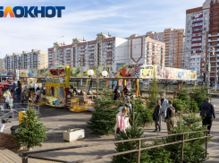 До +8 градусов прогреется воздух в Краснодаре 