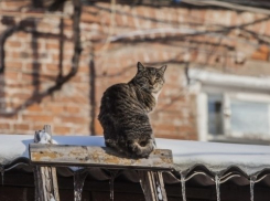  На Кубани пойдет дождь с мокрым снегом, который превратится в гололед 