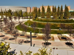 В парке Галицкого краснодарцам запретили ходить по газонам