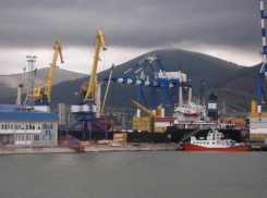 В Новороссийске морской порт на 23% увеличил объем выгрузки