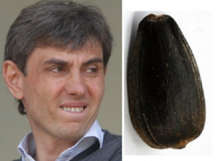 Галицкий прокомментировал запрет приходить на стадион с семечками