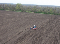В Краснодарском крае агрокомплекс присоединился к нацпроекту «Производительность труда»