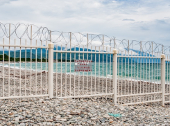 В Краснодарском крае пограничники выявили шестерых иностранцев в приграничных районах Сочи