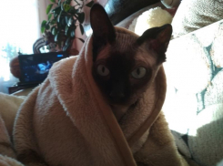 Дожди и ветер вернулись в Краснодарский край