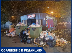 Ужасный запах и крысы: краснодарцы массово жалуются на несвоевременный вывоз мусора