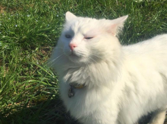 Дожди не вернутся, солнечно будет на Кубани 