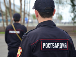 Пьяный юноша залез в охраняемый офис в Краснодаре, перепутав его с домом возлюбленной