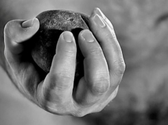 СК: Житель Кубани насмерть забил камнем товарища, с которым собирался выпить