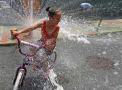 Сорокаградусную жару прогнозируют синоптики на Кубани