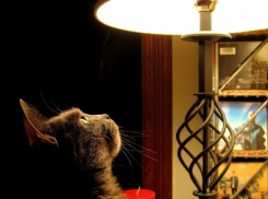 На Кубани снизилась выработка электроэнергии и выросло ее потребление