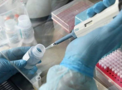 На Кубани снова зафиксирован рост случаев детской заболеваемости коронавирусом 